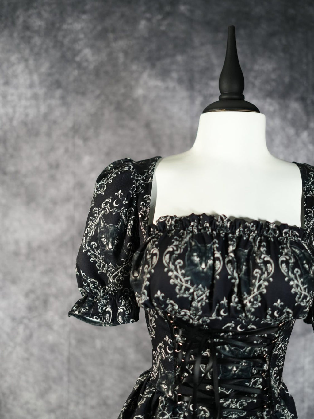 Gothic Portrait Corset Dress - Theblackfeline